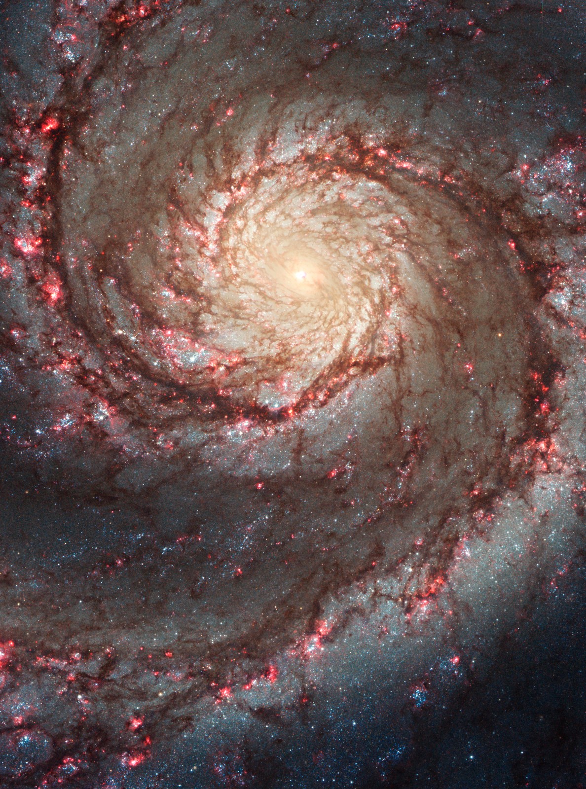 Spirálgalaxis – Hubble ACS visible image of M51